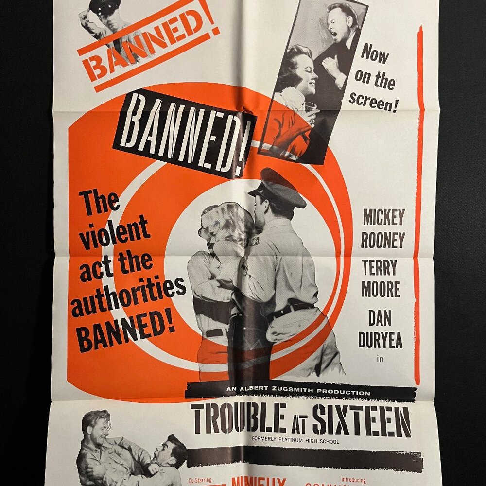 Trouble At Sixteen Platinum High School One Sheet Movie Poster Sexploitation